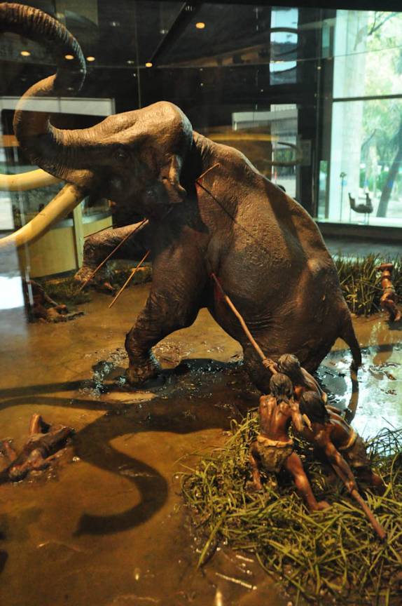 Os humanos já chegaram apavorando nas Américas (Museu Nacional de Antropologia, na Cidade do México, capital do país)